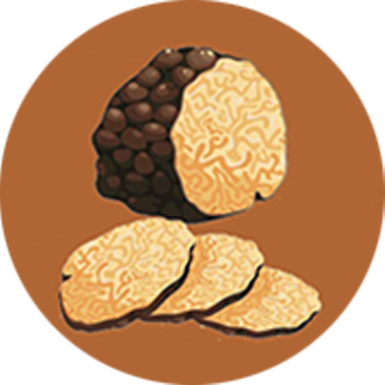Truffle